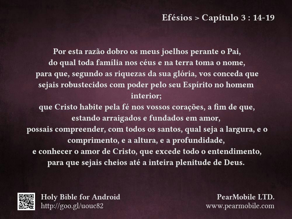 Efésios, Capítulo 3:14-19